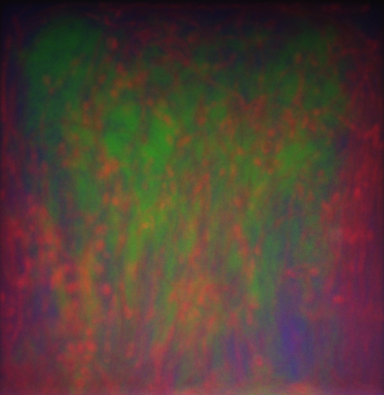 Lab Background Photo